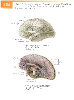Sobotta Atlas of Human Anatomy  Head,Neck,Upper Limb Volume1 2006, page 313